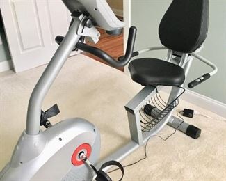 Schwinn 250  recumbent  bike 