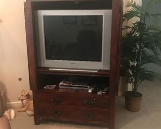 TV and cabinet. Palm tree
