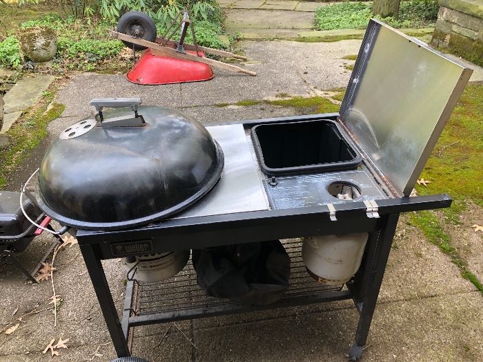 Weber gas