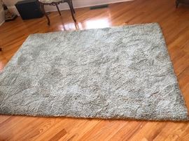 area rug