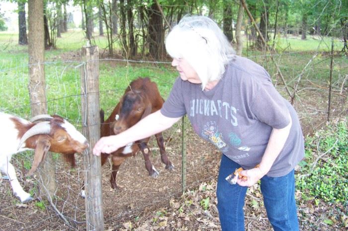 Betty feeding our adopted goats