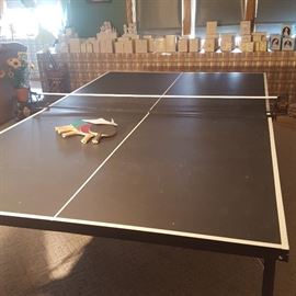 Hi-end Ping Pong table tennis table