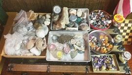 99- Fantastic Rock, Fossil and Mineral collection to include a good size piece of petrified wood.