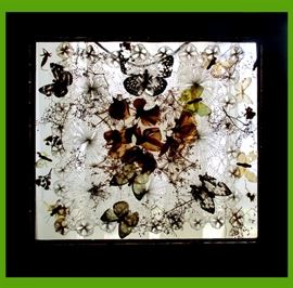 Framed & Pressed Butterflies 