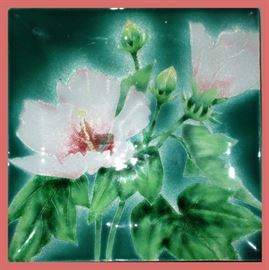 Very Pretty Ceramic Signed Platter