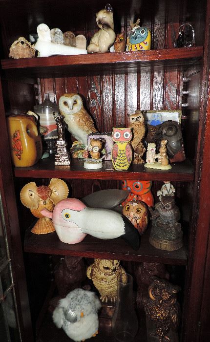 OWL COLLECTION