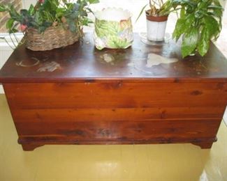 Cedar trunk chest