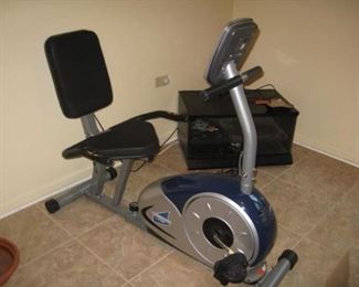 recumbent exercise bike
