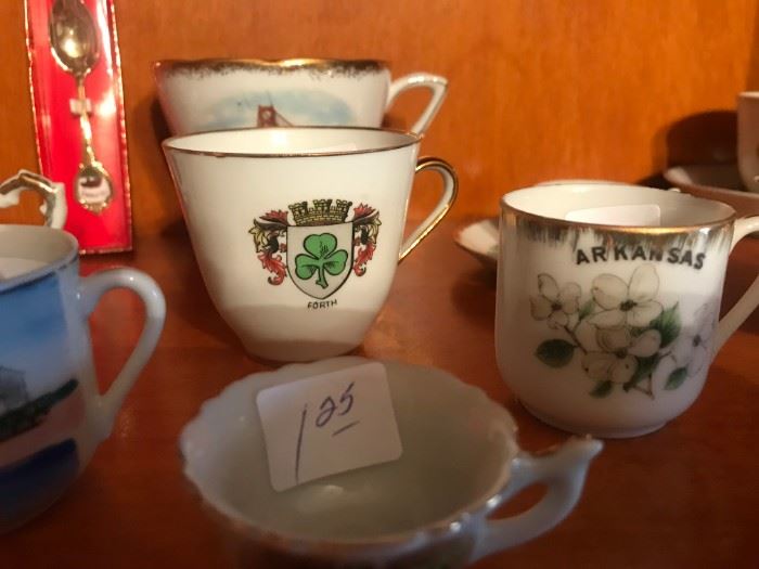 Tea Cup Collection from all States