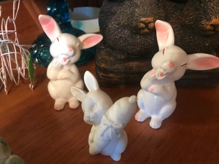 Bunnies .....