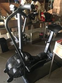 Schwinn Airdyne