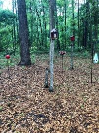 Collection of bird feeders and houses