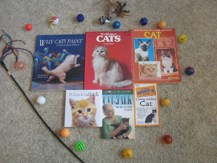 Cat Books and Toys