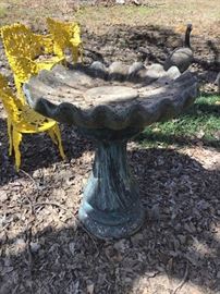 Bird Bath