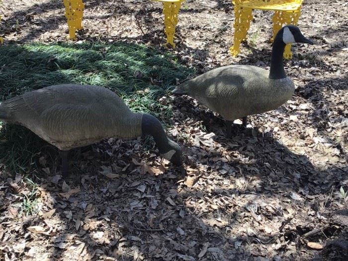 Plastic Geese