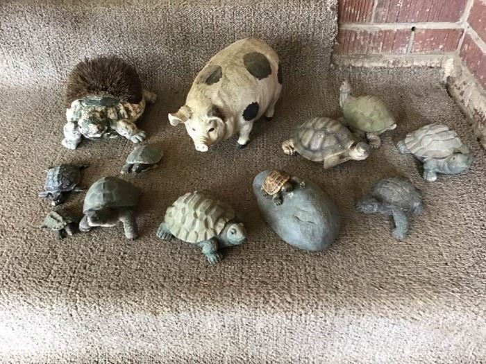 Collection of Turtles and One Pig