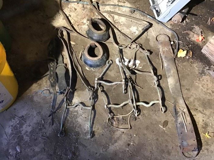 Horse Items