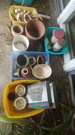 Flower Pots and Sea Shells