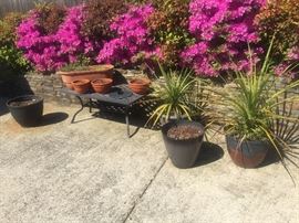Outdoor Table and Plants