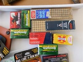 Assorted 22 Caliber Ammunition