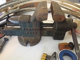 Samson Vise