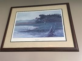 "Teal Point" by Lynn Kaatz Framed Print