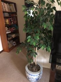 planter & artificial ficus