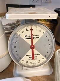 vintage American Family scale