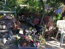 Assorted Plants, Yard Décor', BBQ Pit
