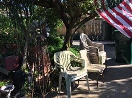 Assorted Plants, Yard Décor'