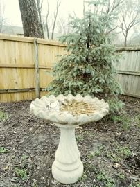 birdbath