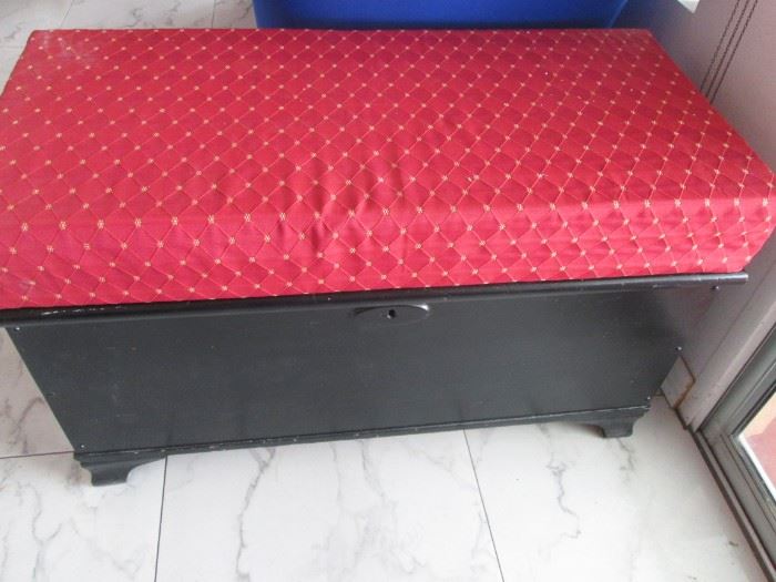 Storage Chest with Upholstered Cushion