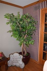 Silk Tree, Home Decor