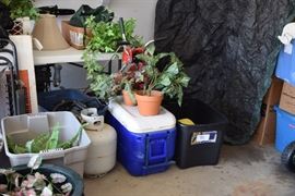 Plants, Planters, Cooler, Propane Tank
