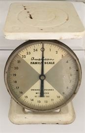 VINTAGE FAMILY SCALE