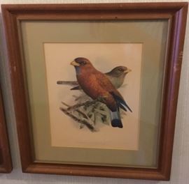 VINTAGE LITHOGRAPH