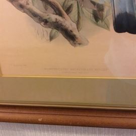 VINTAGE LITHOGRAPH