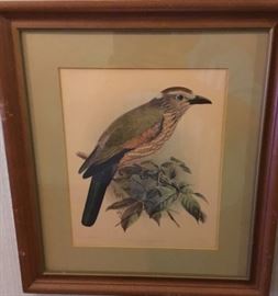 VINTAGE LITHOGRAPH
