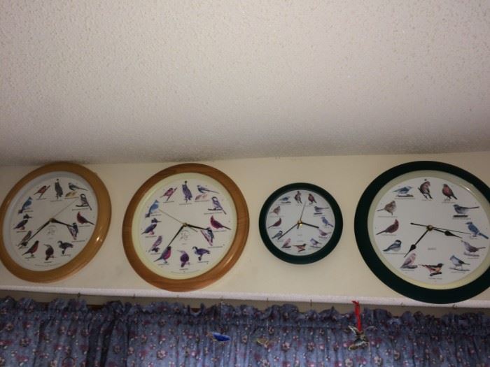 Bird clocks