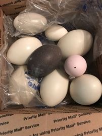 Ostrich eggs