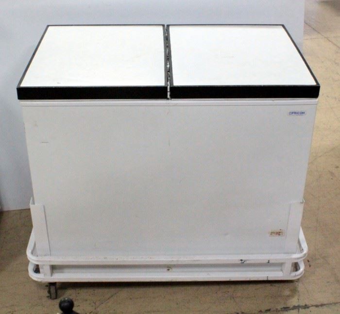 Fricon Freezer Cooler Model THG 6 S GILF, Powers On