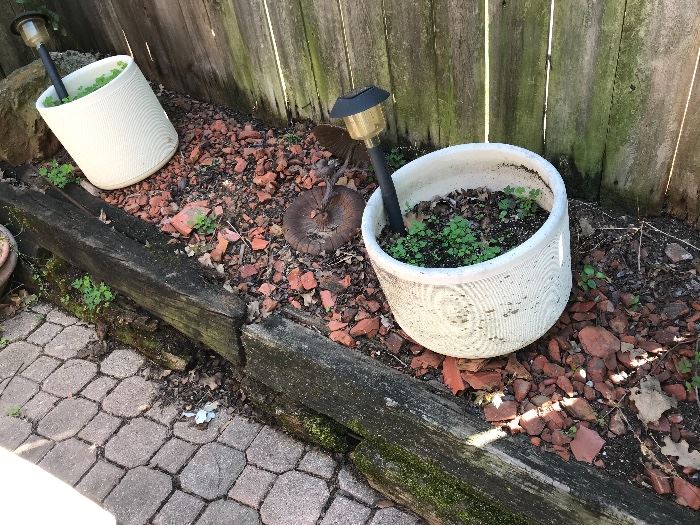 Concrete Planters