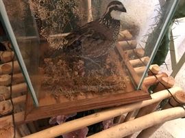 Pheasant Under Glass