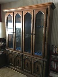 Gun Case