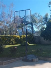 Basketball hoop in great condition!