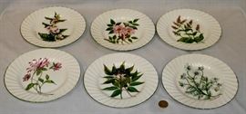 Vintage Lot of 6 Royal Patrician Botanical Plates Staffordshire England