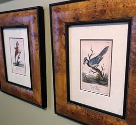 Reproductions of vintage Bluejay and Cardinal prints