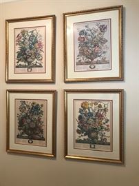 Framed reproductions of 1730s botanical prints
