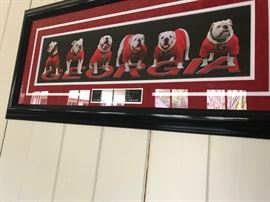 UGA Dynasty print