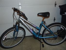 Women's mountain bike. Needs work. 